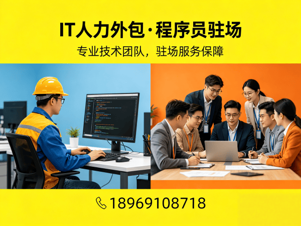 长沙IT人力外包解决方案：破解爬虫工程师招聘难题，实现技术团队高效搭建