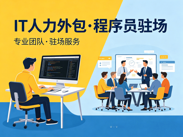 长沙IT人力外包解决方案：后端开发程序员驻场服务如何破解企业用人难题